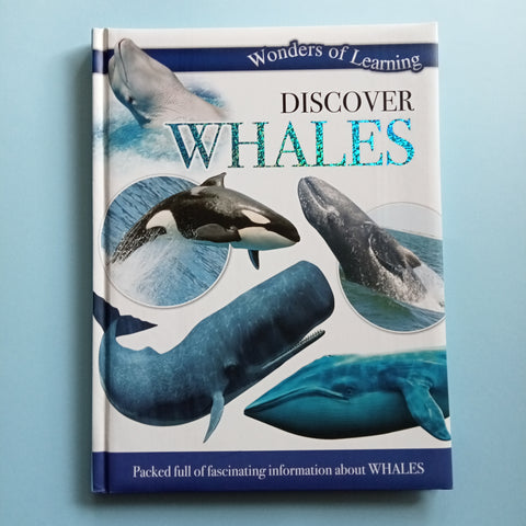 Scopri le balene