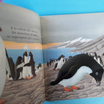 Mes livres magiques. Cache-cache avec le pingouin