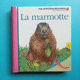 Mes premières découvertes. La marmotte