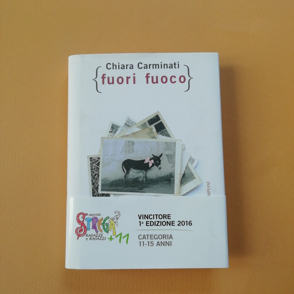 Fuori Fuoco Librairie William Crocodile