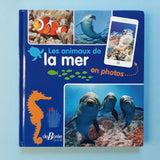 Les animaux de la mer en photos