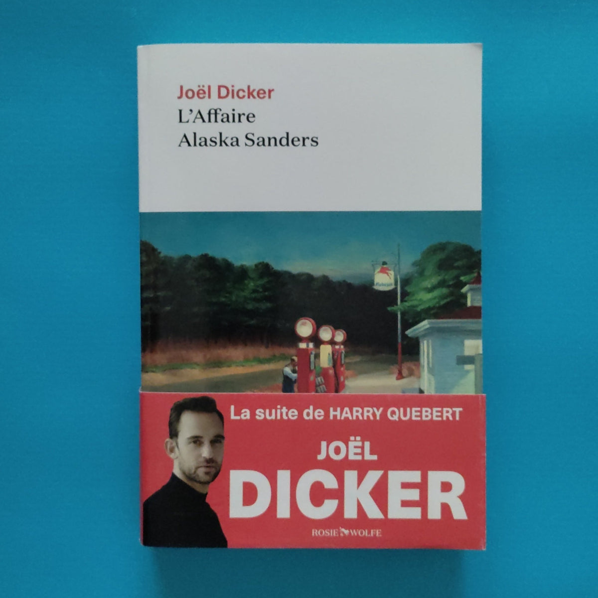 Il caso Alaska Sanders di Joël Dicker: sequel del bestseller La