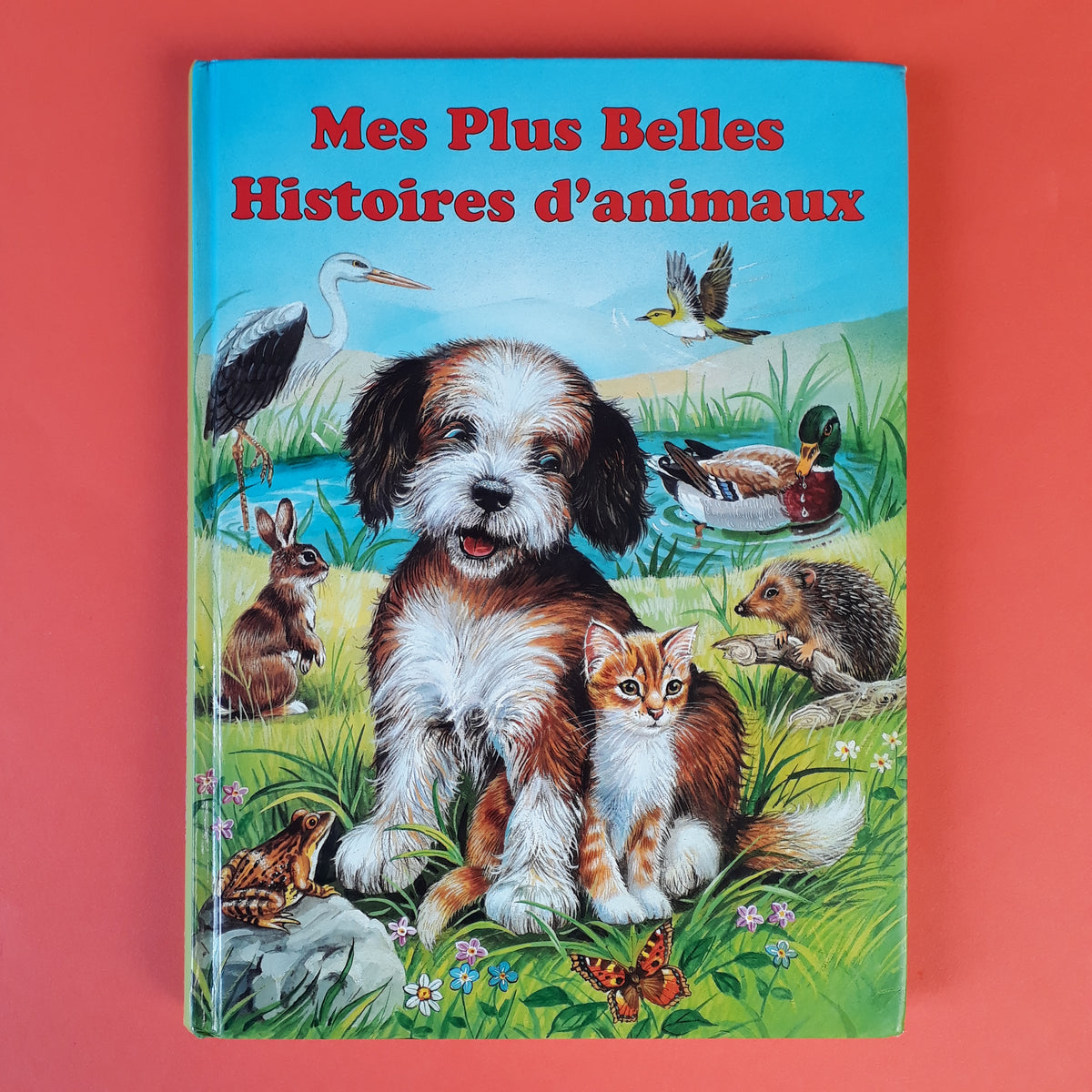 COLLECTIF - Les Chevaux - Animaux - LIVRES -  - Livres +  cadeaux + jeux