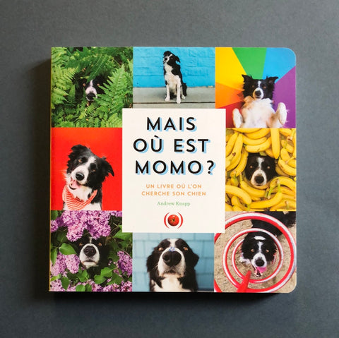 Ma dov'è Momo? Un libro dove cerchi il tuo cane