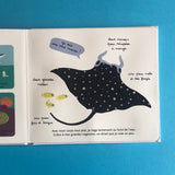 I miei animali marini da toccare